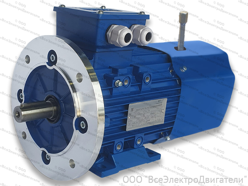 Электродвигатель с тормозом АИР 100 L4 Е2, IM1081 (4,0 кВт 1500 об/мин)1983050