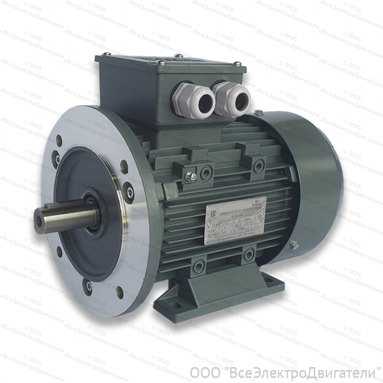 Электродвигатель ЭЛМАШ АИС 100 L2 IM2081 (B35) AL (3 кВт 3000 об/мин)