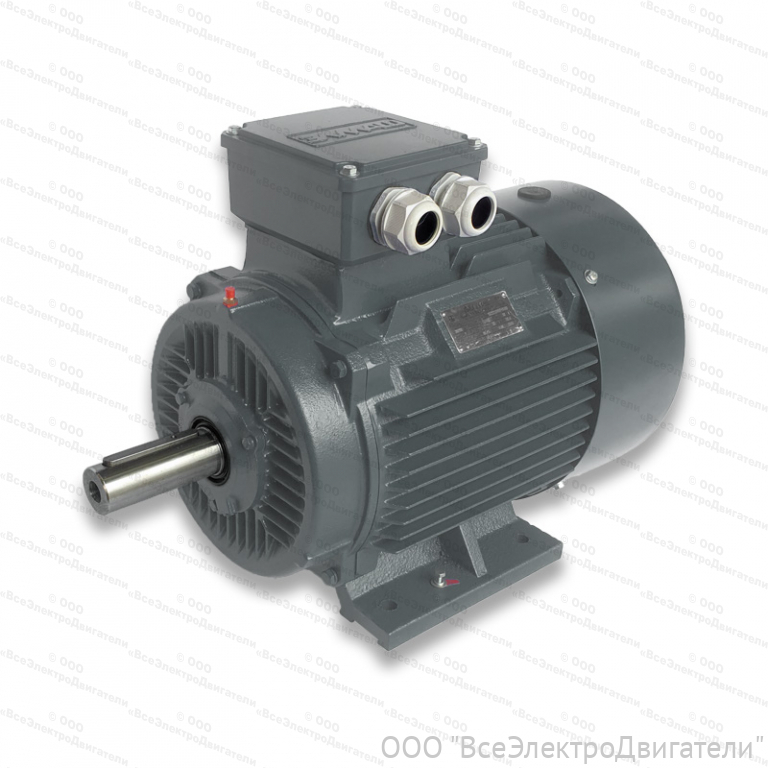 Электродвигатель ЭЛМАШ АИС 355 LC4 IM1001 (B3) (355 кВт 1500 об/мин)