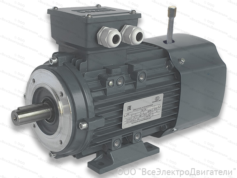 Электродвигатель с тормозом VEMPER АИС 80 А8 ED2, IM B34 (IM 2181) (0,18 кВт 750 об/мин)